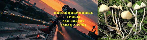 а пвп мука Алзамай