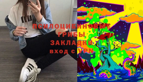 а пвп мука Алзамай
