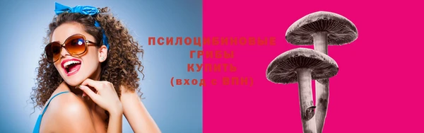 а пвп мука Алексеевка