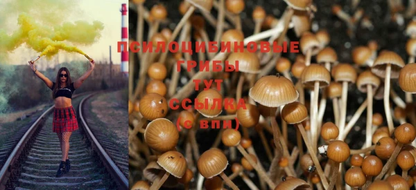 spice Абинск
