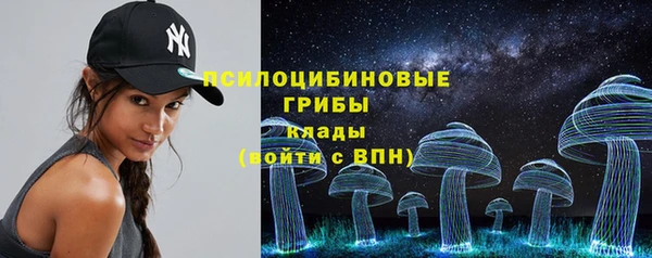 твердый Абаза