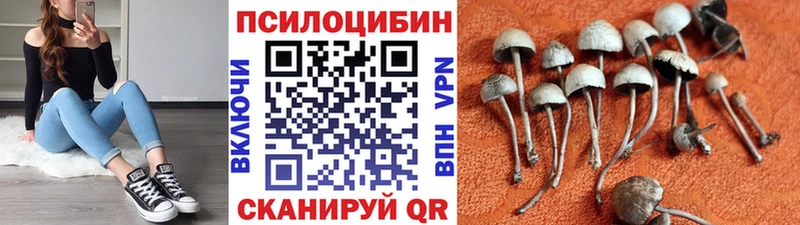 Галлюциногенные грибы Cubensis где купить OMG ССЫЛКА Моздок